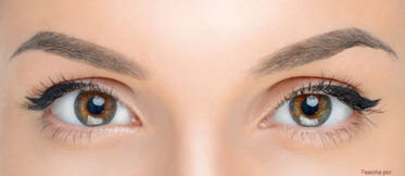 Cejas cuidadas para equilibrar la belleza del rostro.